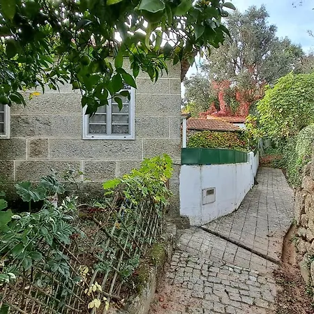 Casa Da D. Marquinhas Santa Marinha do Zezere